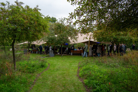 DSC 3714