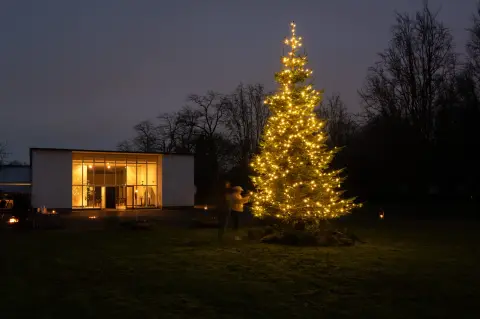 Kerstbomenactie