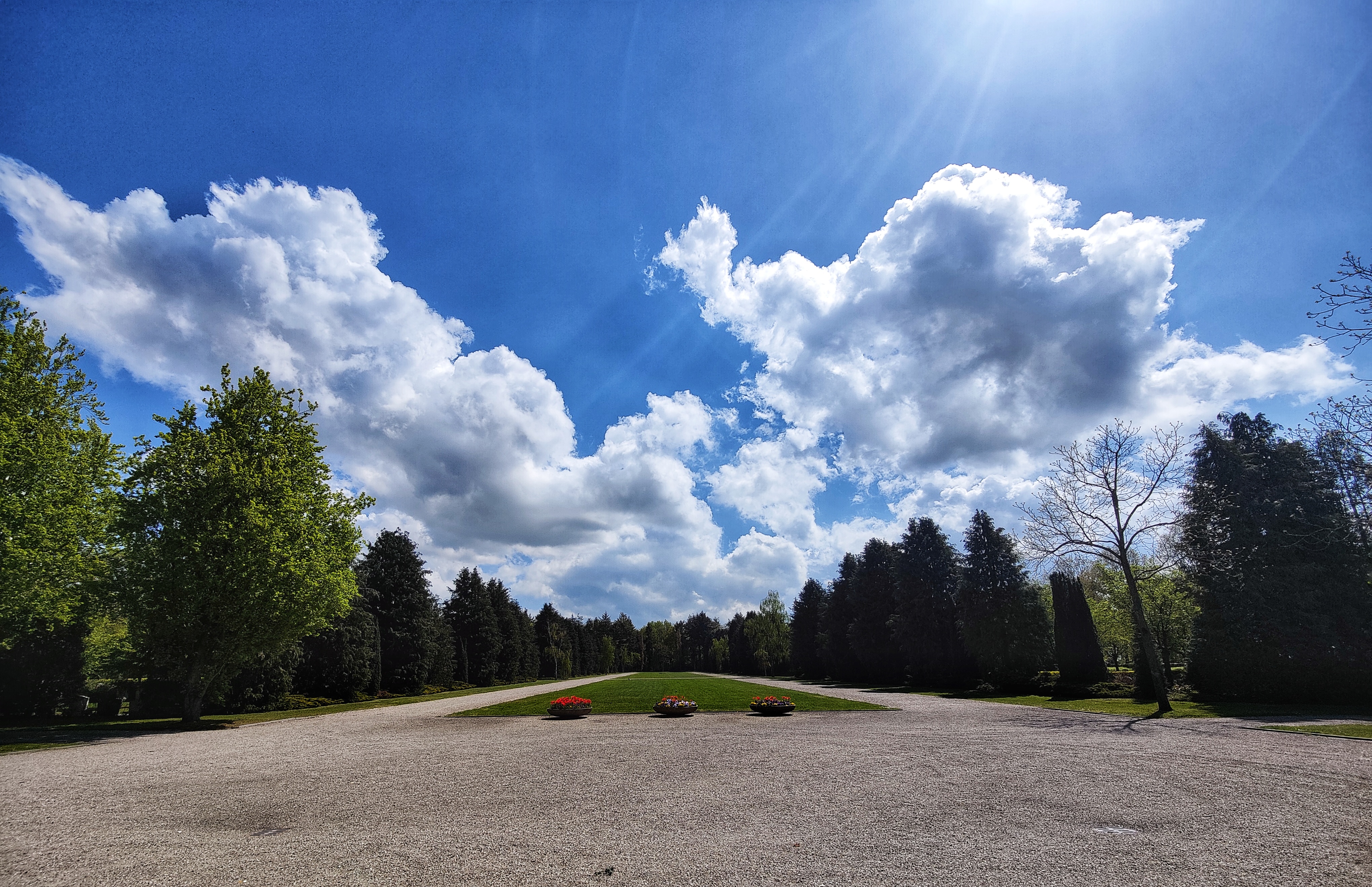 Uitzicht vanaf Aula Zuiderhof in Hilversum over het open terrein en de omliggende bomen, onder een blauwe lucht met witte wolken.
