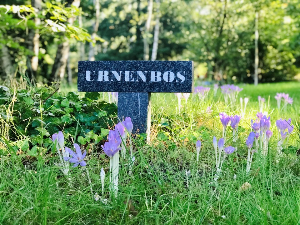 Bordje met de aanduiding Urnenbos tussen paarse bloemen en groene beplanting.
